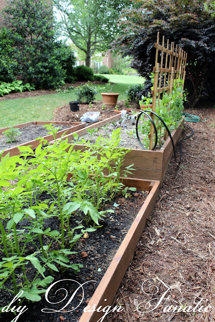 install a simple drip irrigation system, drip irrigation kit, backyard