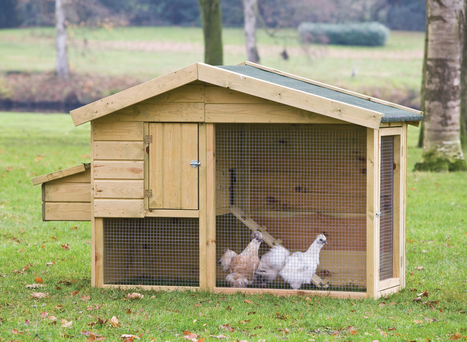 How To Build A Chicken Coop Instructions - Chicken Coop