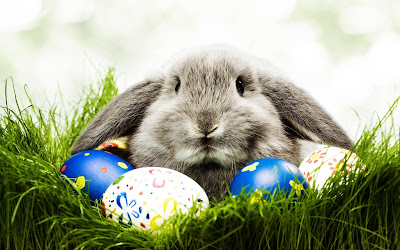 ThePetsDialogue Easter Giveaway What Is My Rabbit Thinking?