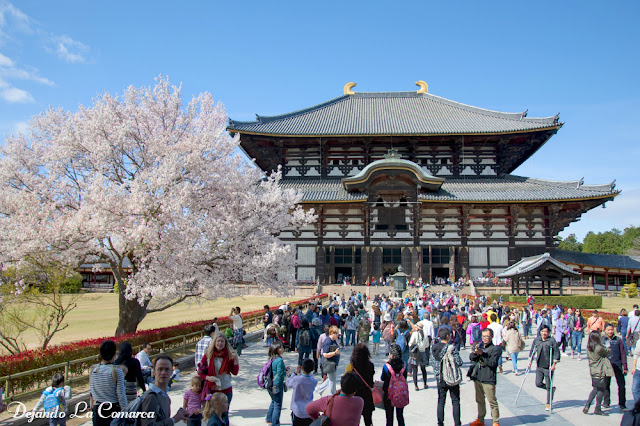 Día 10 - Nara - Osaka - Japón primavera 2016 - 18 días (con bajo presupuesto) (11)