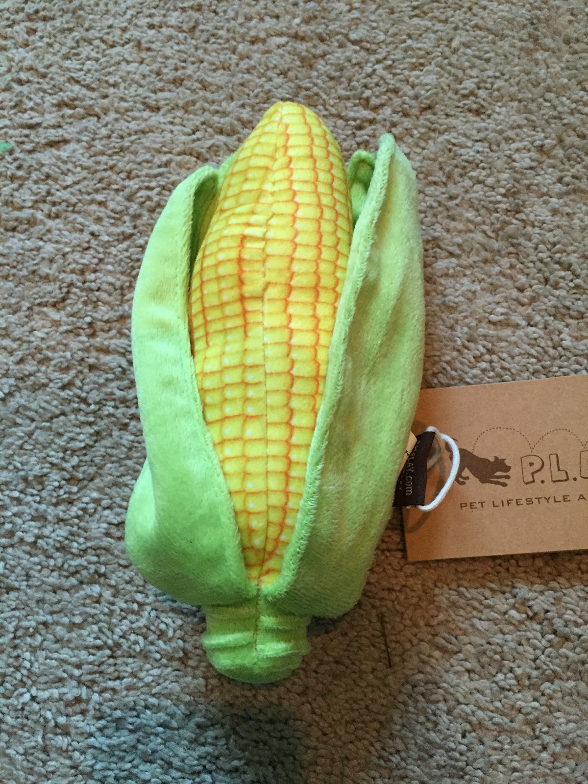 Brier Review Barkbox November 2015