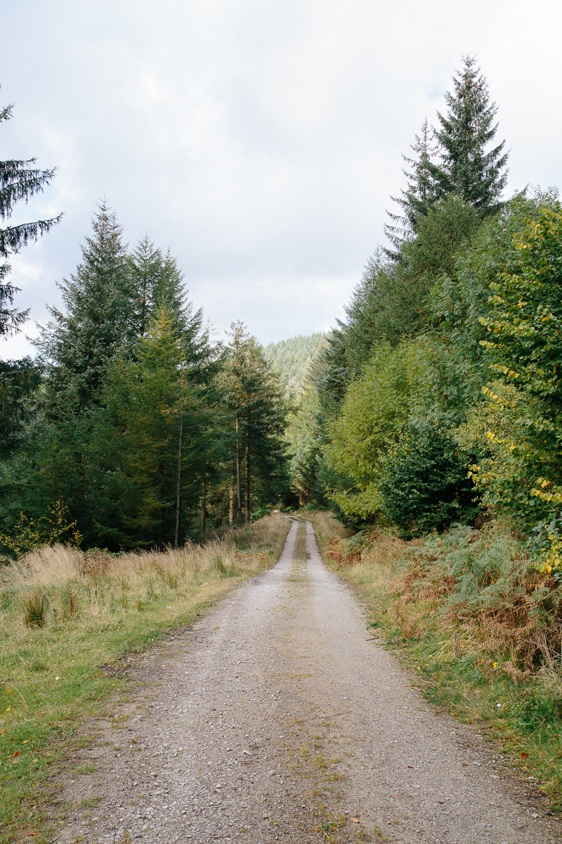 The Cosy Winter Tights OOTD & Giveaway all saints t shirt dress girl in the forest peak district