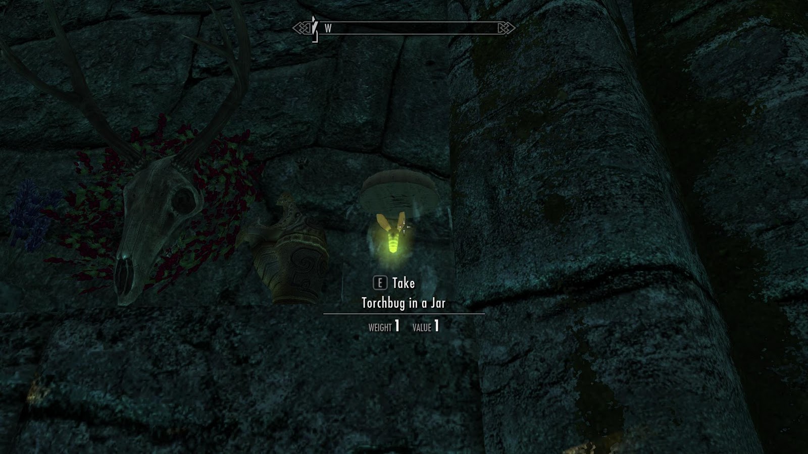 Guide to the 5 Collectible Bugs (insects) in Skyrim Video Games