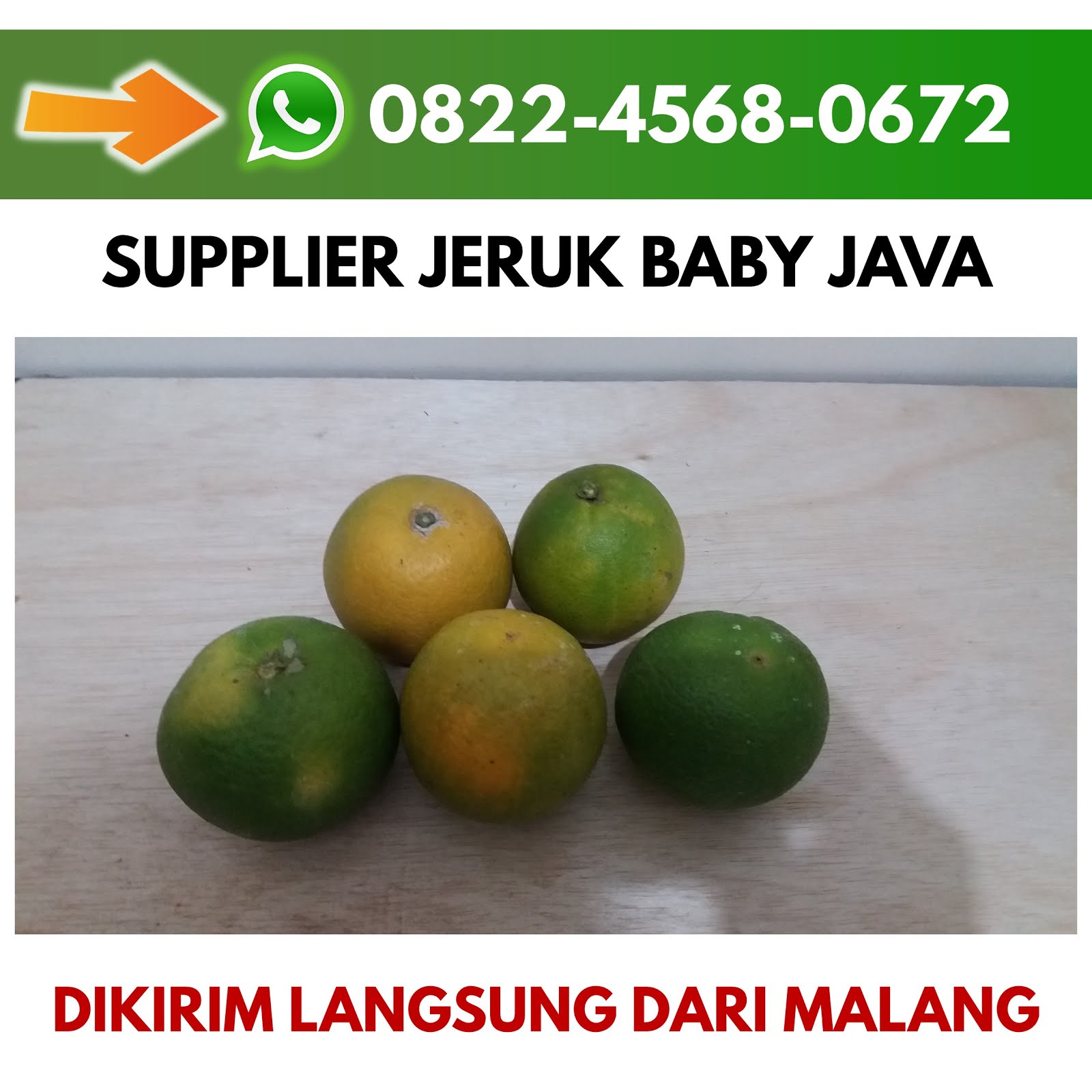 Supplier Jeruk Baby Java