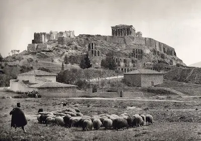 Πρόβατα κάτω από την Ακρόπολη 1903 Fred-Boissonnas