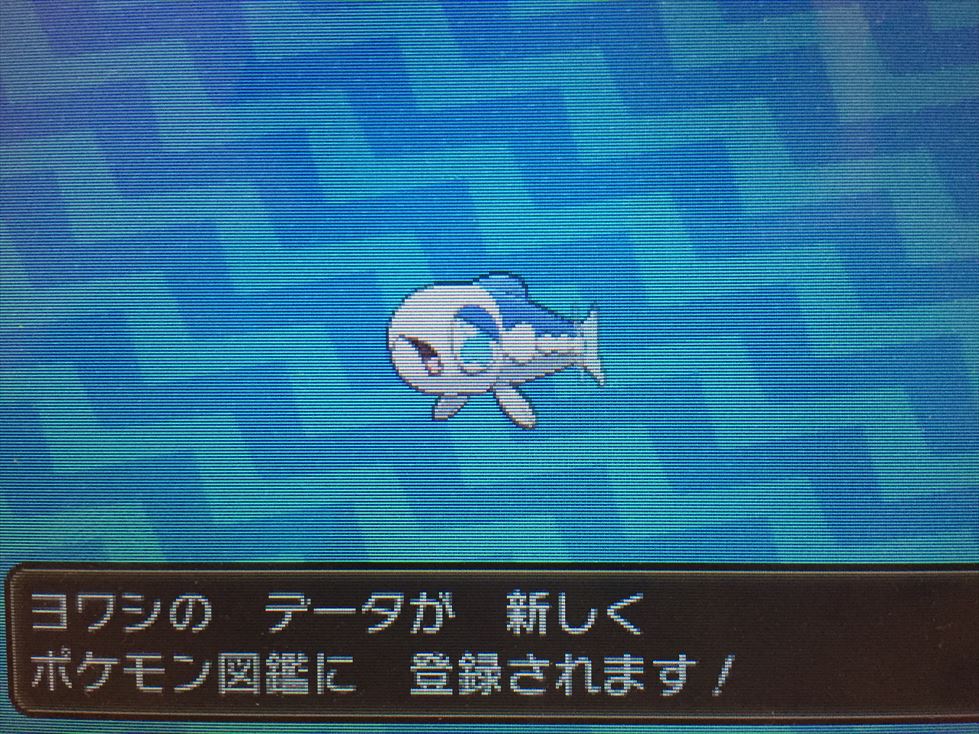 ポケさんぽ ポケットモンスター サン 5 アーカラ島 カンタイシティ スイレンの試練 3ds