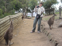 Fotografando Canguru - Austrália