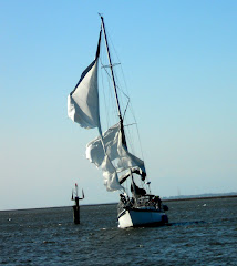 Bringing in CELEBRATION with her blown jib, in very strong winds!