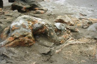 Keunikan Batu Malin Kundang di Pantai Air Manis Padang