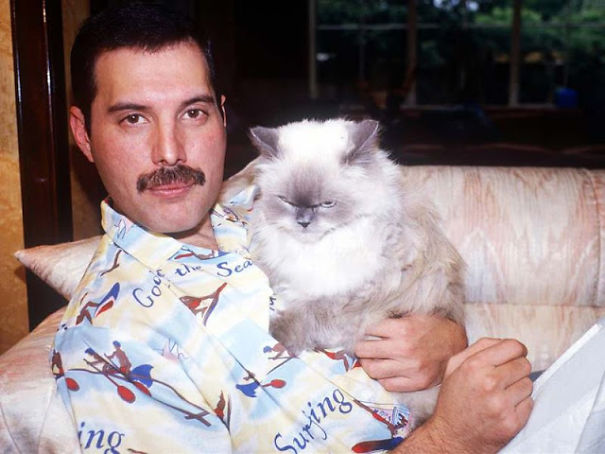 16 Rare Photos Of Freddie Mercury And His Cats Show That He Loved Them As His Own Children
