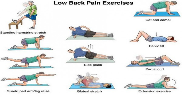 Spine Solutions India By Dr Sudeep Jain Exercise To Strengthen Your