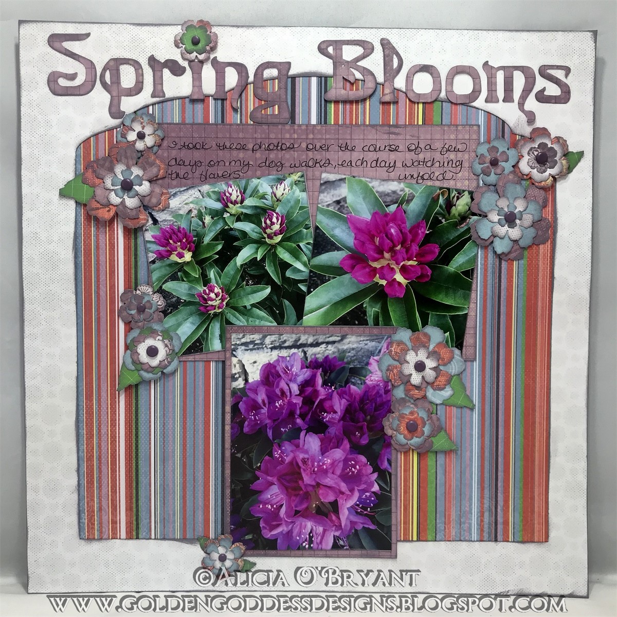 A Guide To Northeastern Gardening 18 Summer Blooming Shrubs For