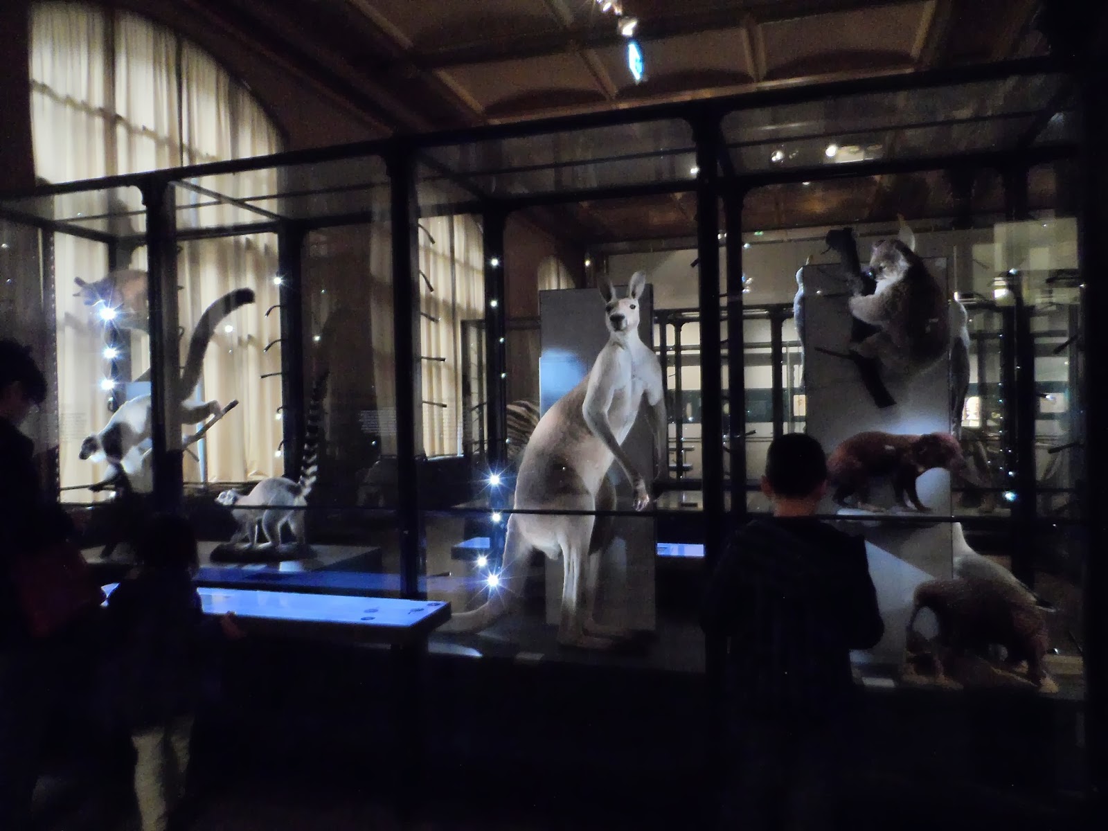 Art&Beauty Muzeum Historii Naturalnej w Berlinie