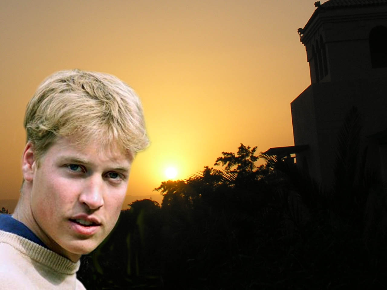 The Wallpapers: Prince William