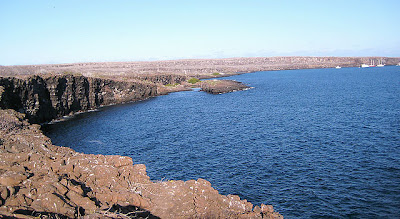 Genovesa Island - Darwin Bay, Galapagos