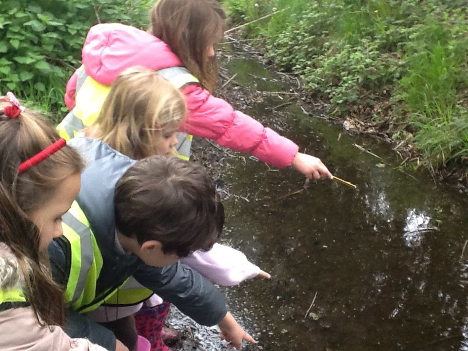 Wheelock Primary School: Nature Detectives - Wheelock Rail Trail