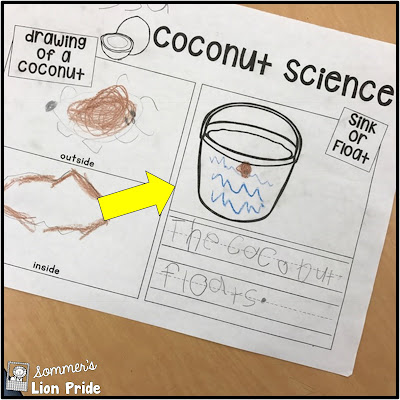 kindergarteners drawing of a coconut floating in a container of water