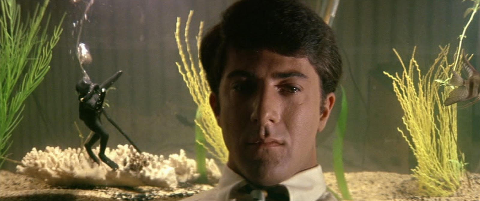 Trailers New 4K Restoration Of The Graduate To Be Released On The Film