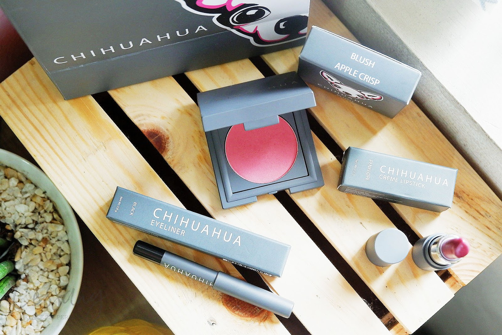 CHIHUAHUA COSMETICS: HALF THE PRICE, HALF THE SIZE! IS IT WORTH IT?
