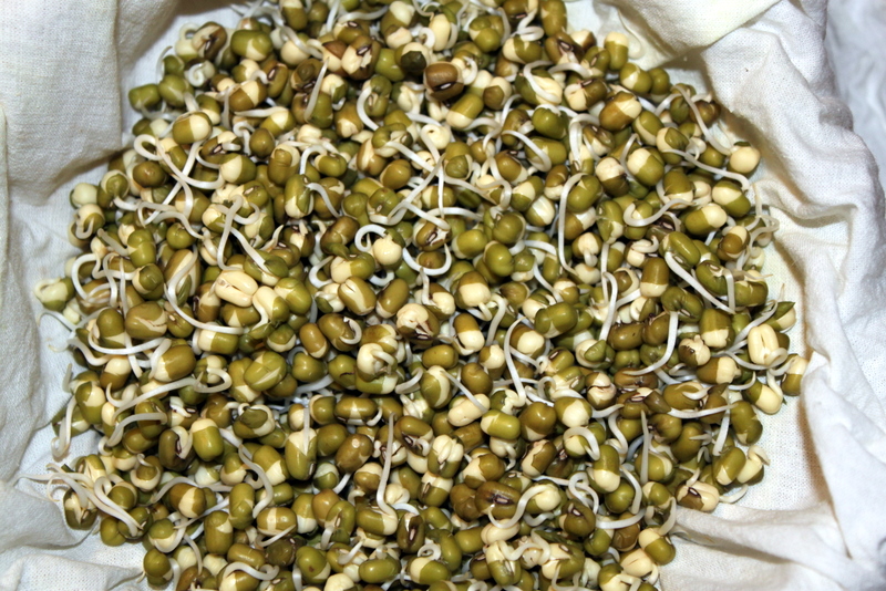 Cooks Joy - How to make Moong Sprouts