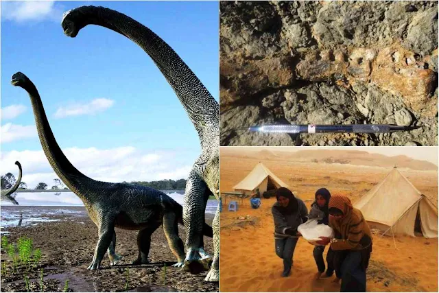 Fossil of School Bus-sized Dinosaur Discovered in Egypt Is a Really Big Deal