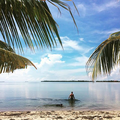 Remax Vip Belize: Beach scene, seen all over the village, by Danni Coyote