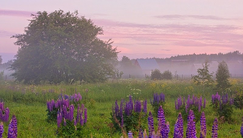 �������� � �������� 12. ����� ��� ����� � ���! � ����� ��������!