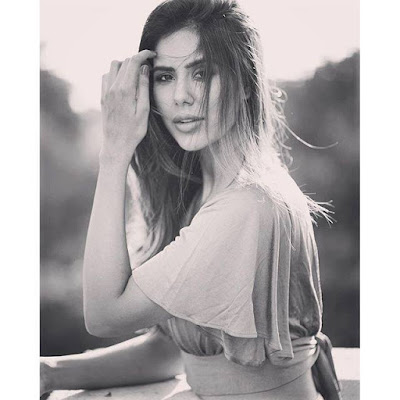 Sonam Bajwa Wiki Biography Sonam Bajwa Wiki Biography