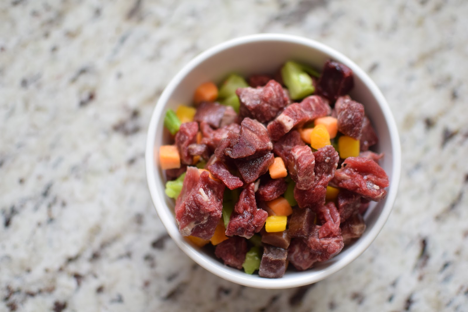 Dachshund Nola Nola, Spoiled? Maybe! Pets Deli Raw Food