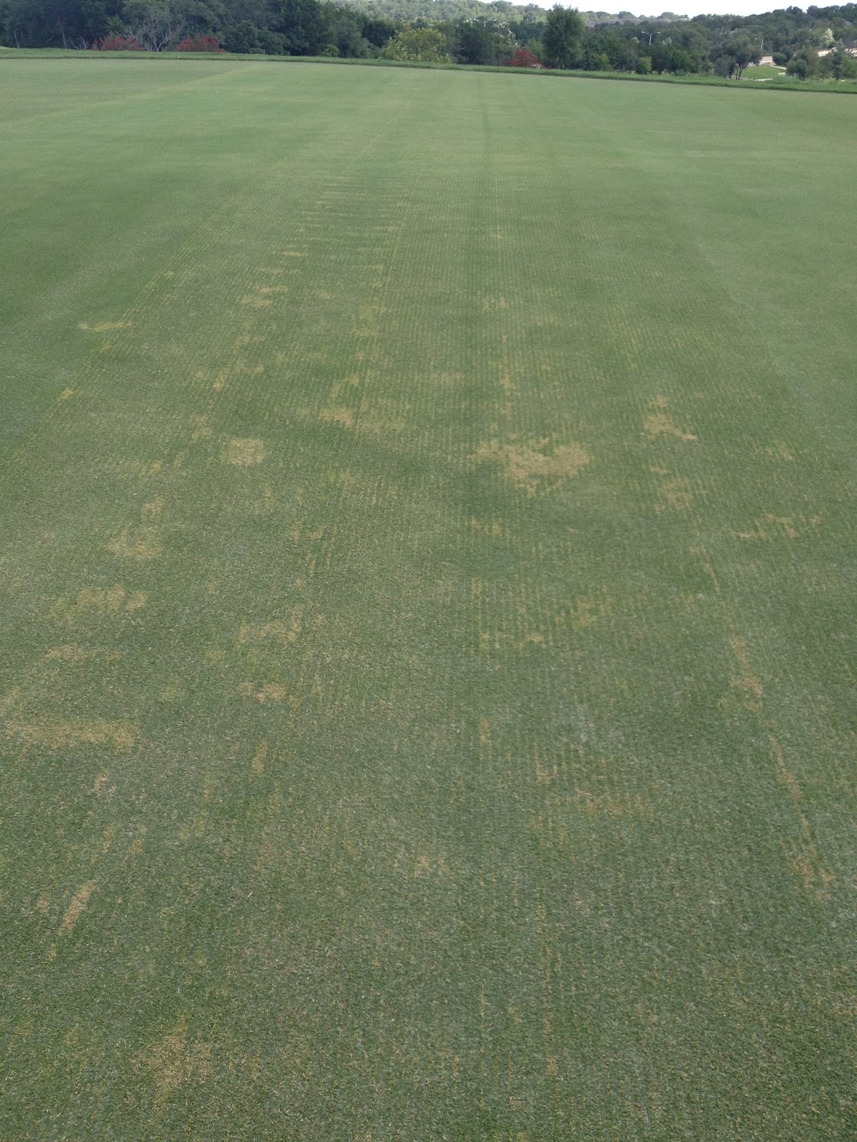 SCTX Golf Course Maintenance Verticutting Greens
