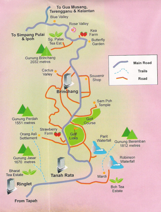 Cameron Highland: Gallery