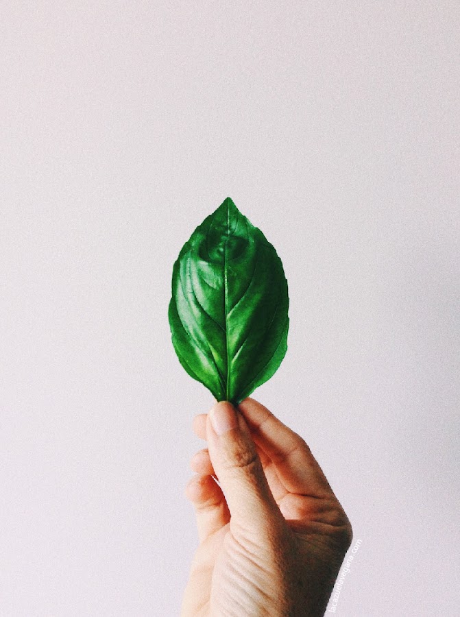Pesto albahaca / Pesto genovés vegano