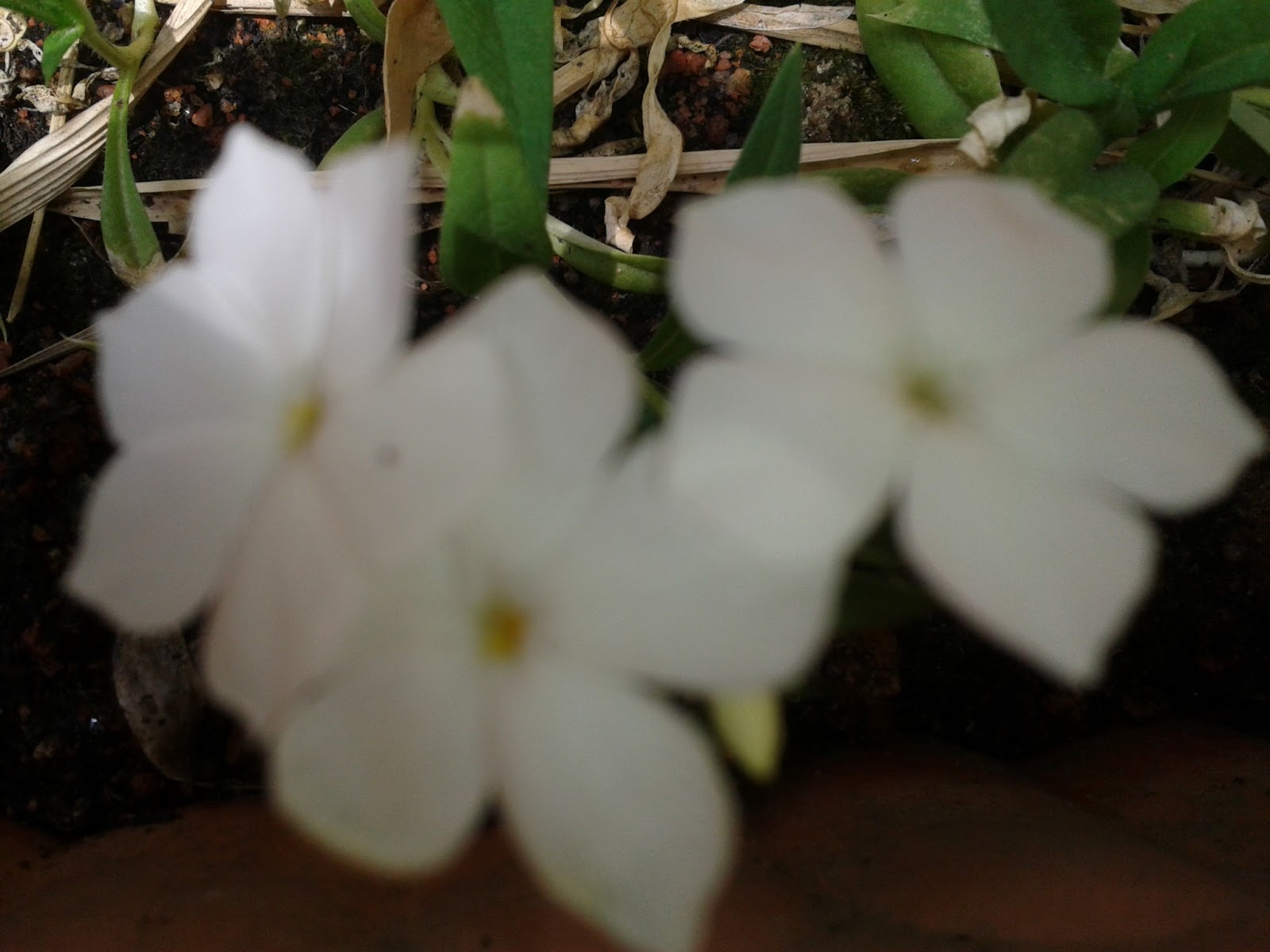 July 2013 Parenting Times