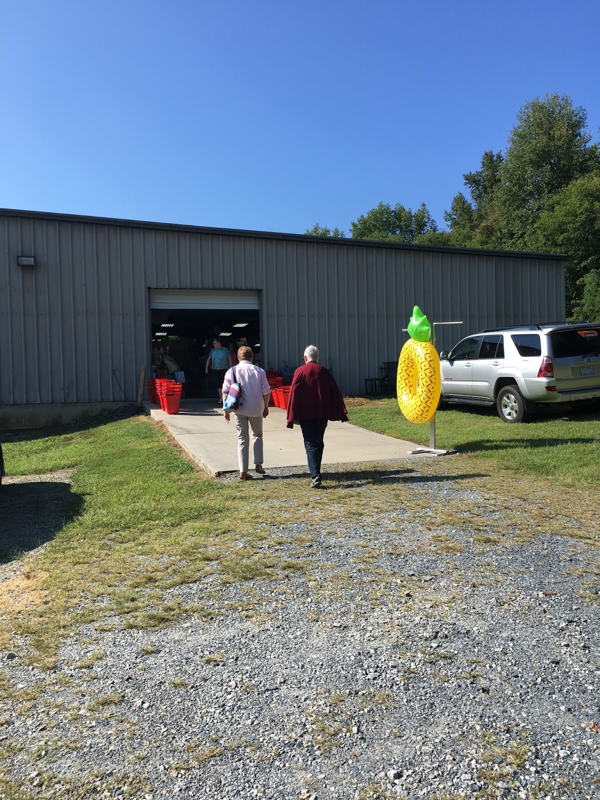 Nimble Thimbles 9/21/17 CCLQ Goes Wild at Pineapple Fabrics!!