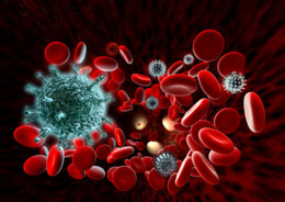 Neutropenia Neutropenia