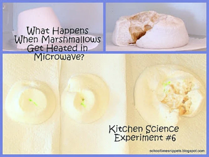 kitchen science marshmallow experiment