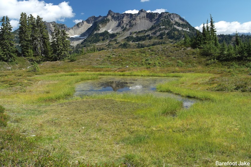 mount seattle olympic