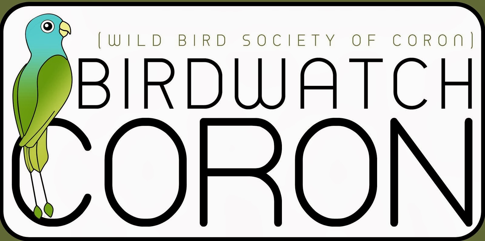 Birdwatch Coron