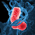 Mikrobiom układu oddechowego