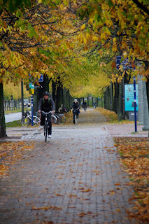 Fall in Ashland