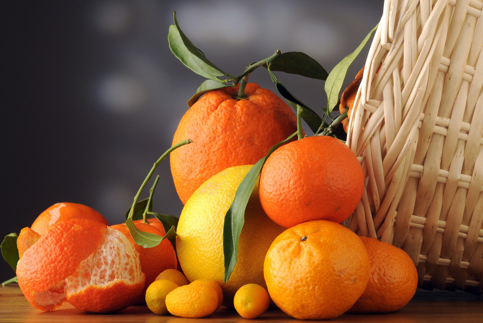 CHINA CSM Citrus fruits can prevent diseases caused by obesity