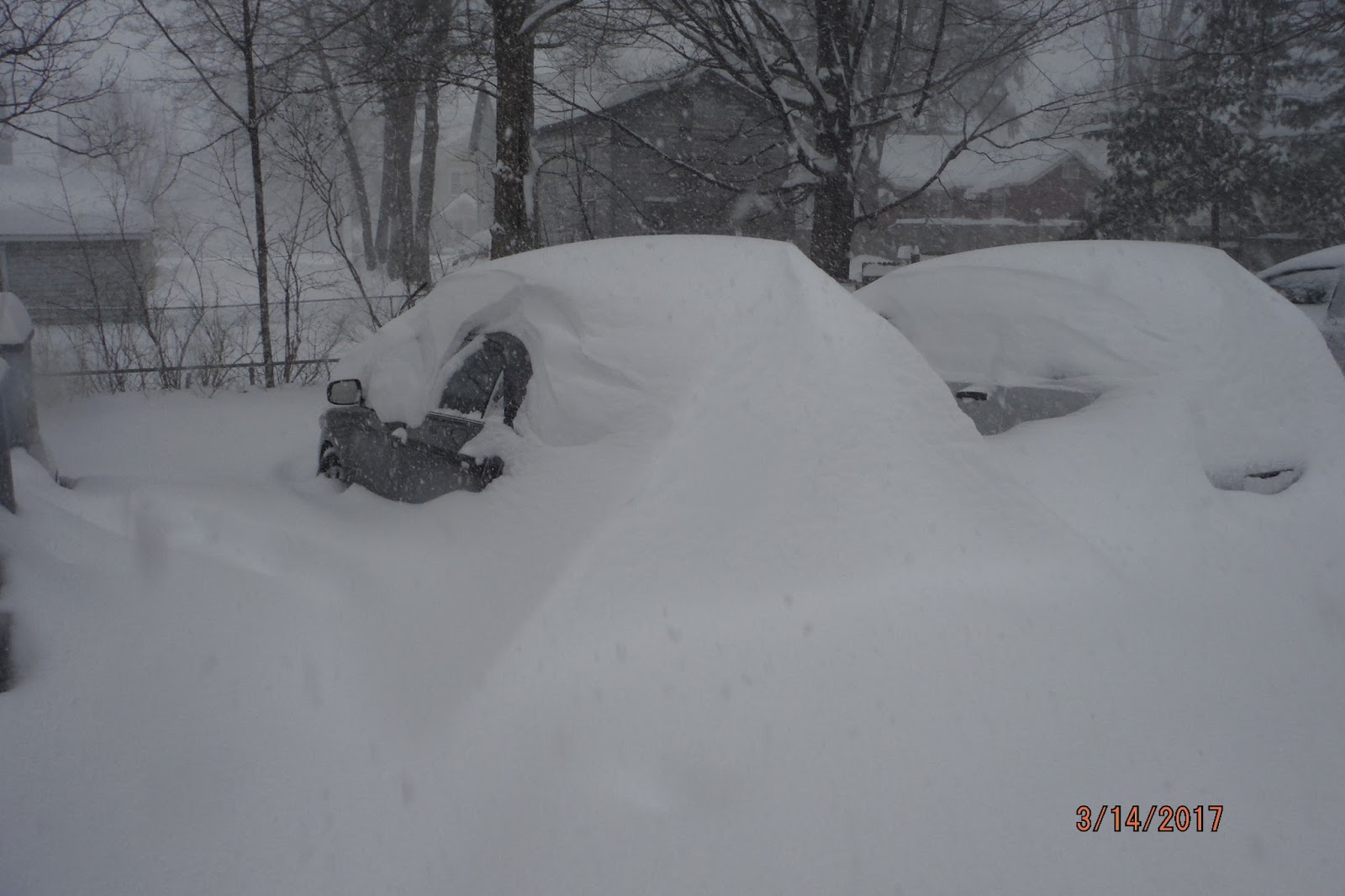Katelyn Elgaaen in Utica New York March 20, 2017 Historic Storm hits Utica 4 feet of snow!