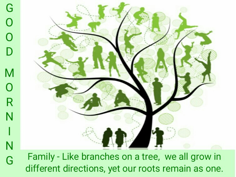 Good Morning Quote Family  Like branches on a tree, we all grow in