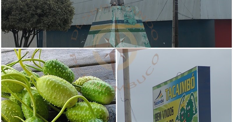 Desbravando Pernambuco Tacaimbó