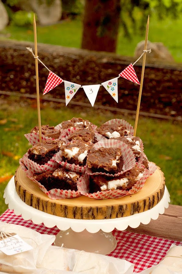 ideas para fiestas picnic