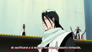 Ver Bleach Invasión Armada al Gotei 13 - Capítulo 340