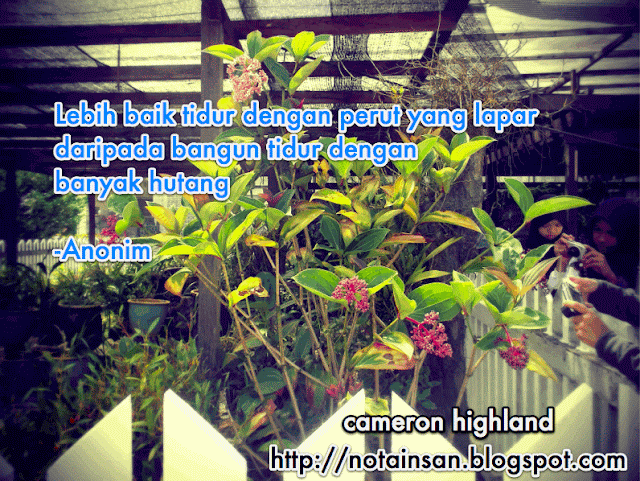 Kata Kata Hikmah Mutiara Kata Motivasi Tidur Hutang Anonim Nota Insan Koleksi Kata Kata Kata Hikmah Mutiara Kata Motivasi Tidur Hutang Anonim Nota Insan Koleksi Kata