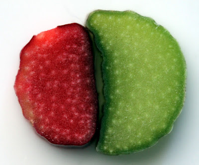 Slices of green and red rhubarb.