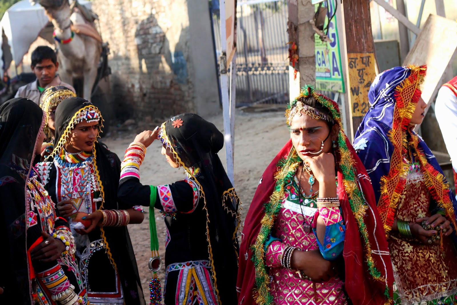 iBeck: Camels Part III - Pushkar and the People