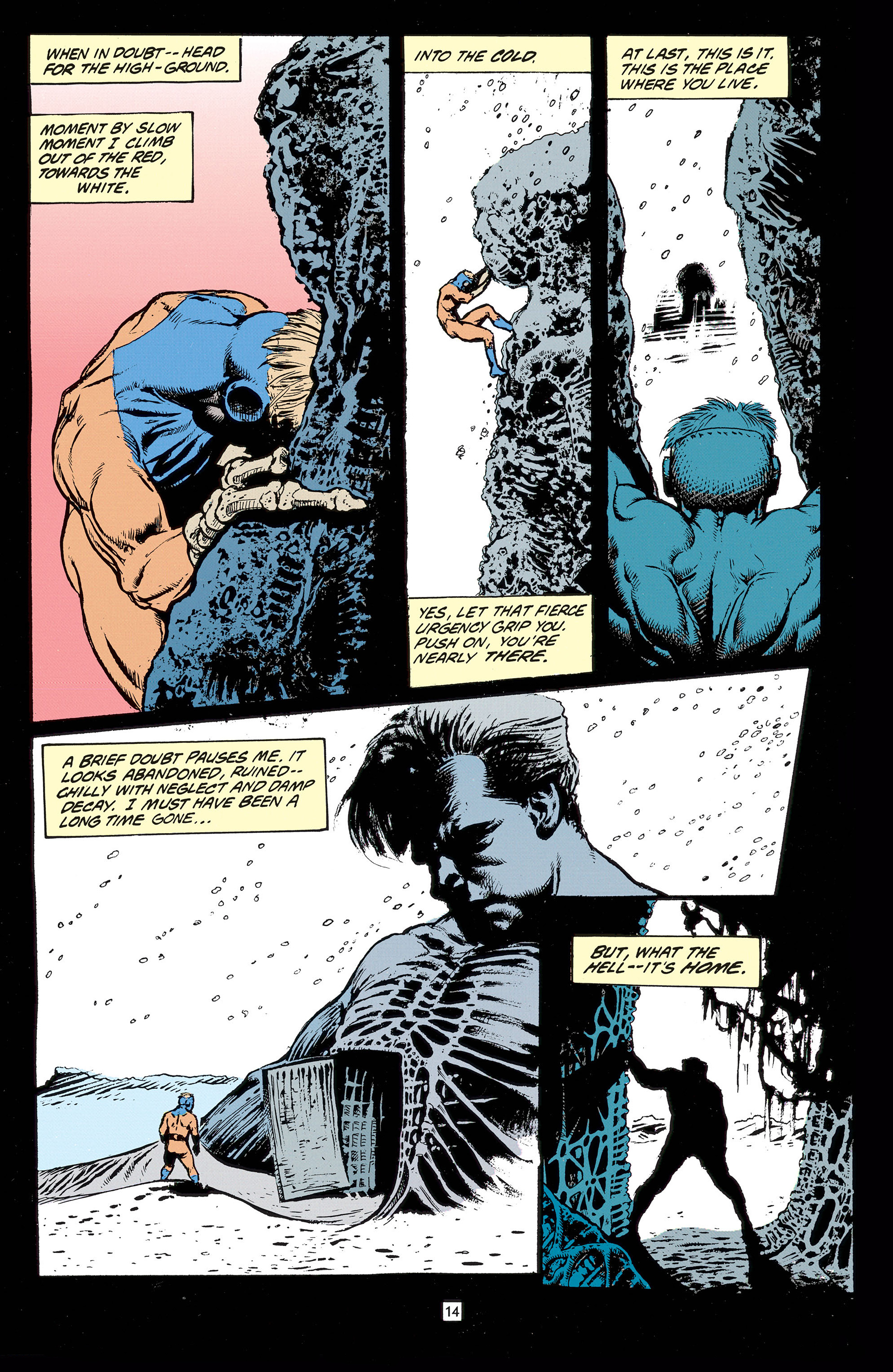 Read online Animal Man (1988) comic -  Issue #52 - 14